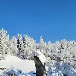 In Hohe Tauern Near Wildkogel Arena *