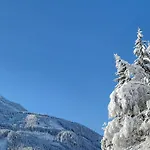 Apartment In Hohe Tauern Near Wildkogel Arena *