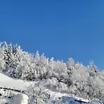 In Hohe Tauern Near Wildkogel Arena