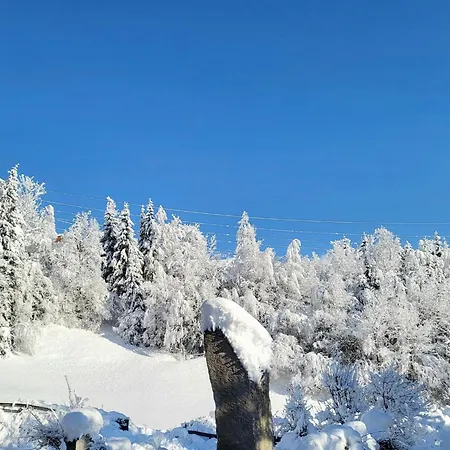 In Hohe Tauern Near Wildkogel Arena *