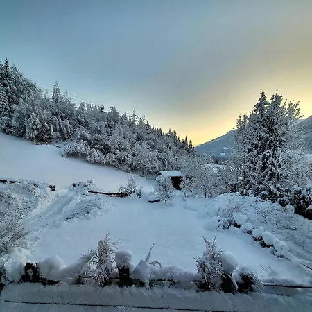 In Hohe Tauern Near Wildkogel Arena Sulzau