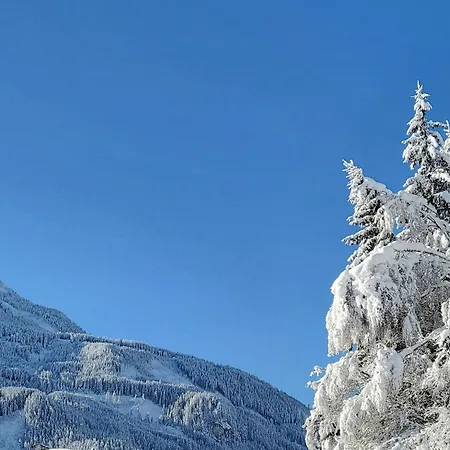 Апартаменты In Hohe Tauern Near Wildkogel Arena *