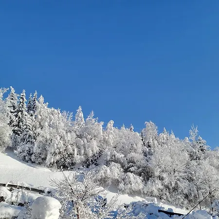 In Hohe Tauern Near Wildkogel Arena