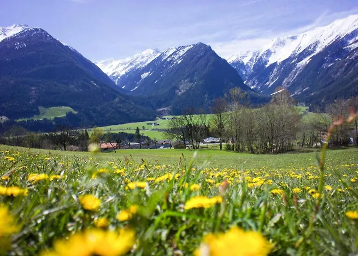 In Hohe Tauern Near Wildkogel Arena Apartman