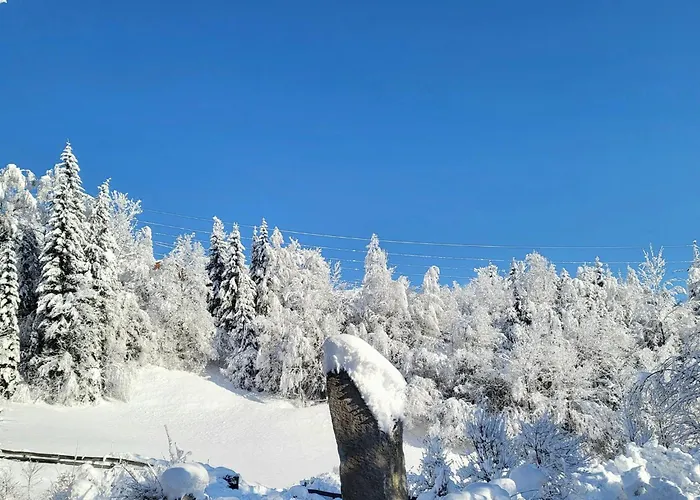 In Hohe Tauern Near Wildkogel Arena *