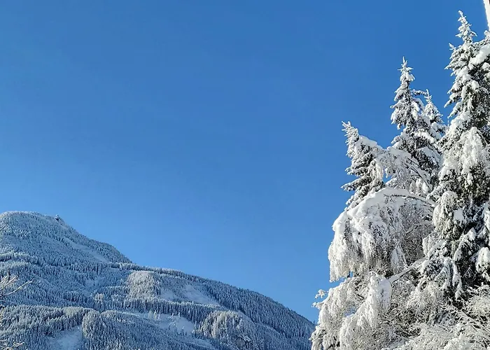 Apartman In Hohe Tauern Near Wildkogel Arena *