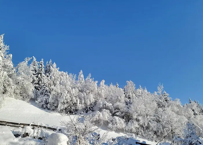 In Hohe Tauern Near Wildkogel Arena